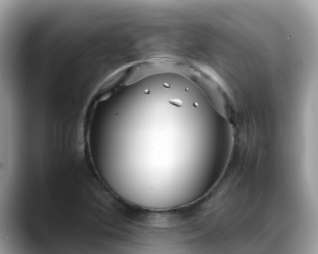 X0000088701364200706071531