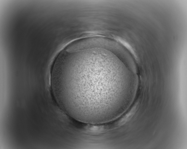 X0000088701365200706071531