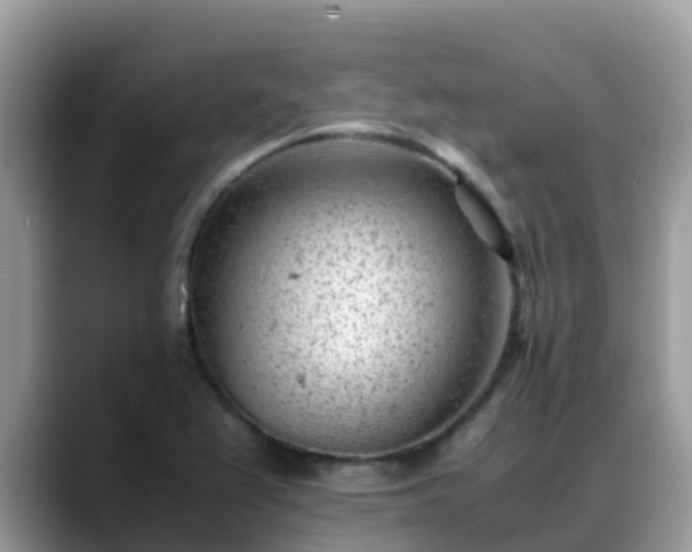 X0000088701367200706071531