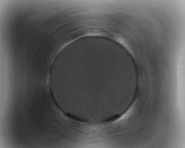 X0000088701369200706071531