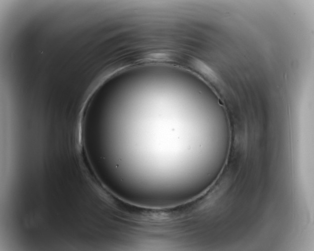 X0000088701370200706071531