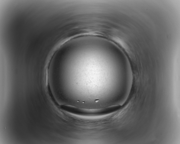 X0000088701371200706071531
