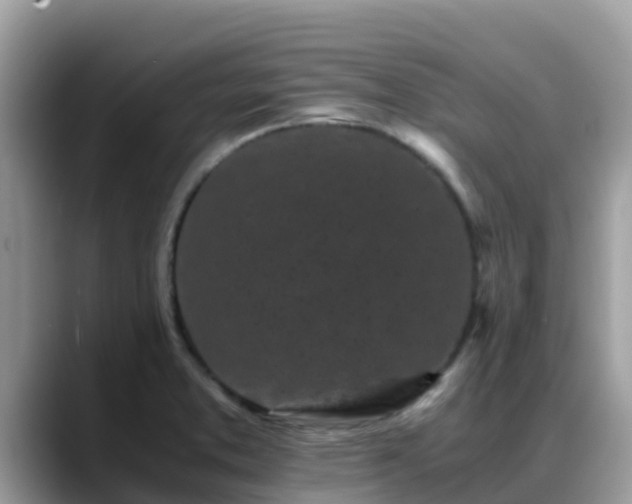 X0000088701373200706071531