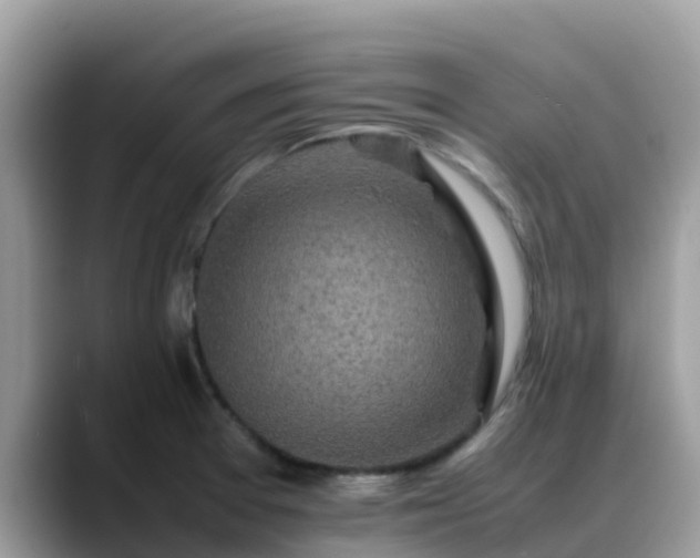 X0000088701377200706071531