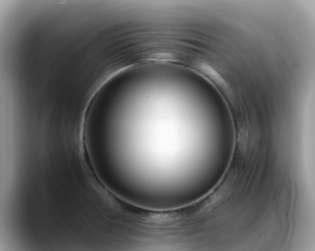 X0000088701378200706071531