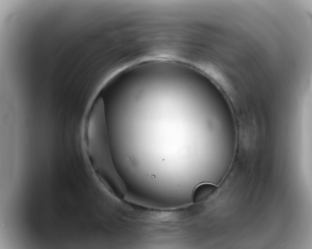 X0000088701382200706071531