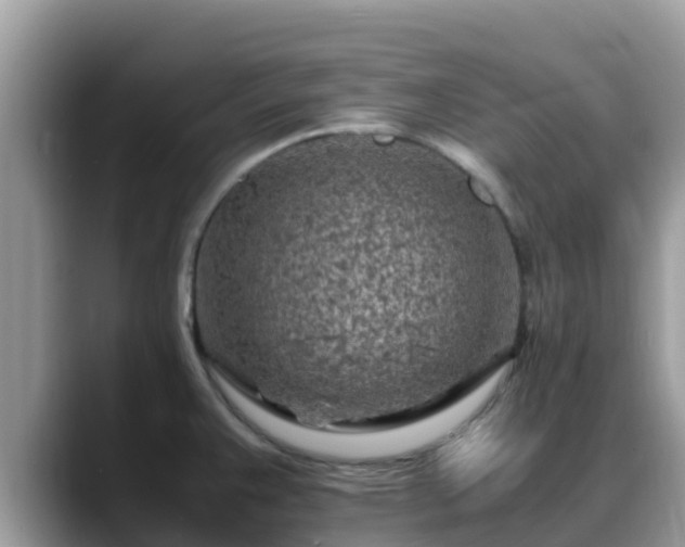 X0000088701383200706071531
