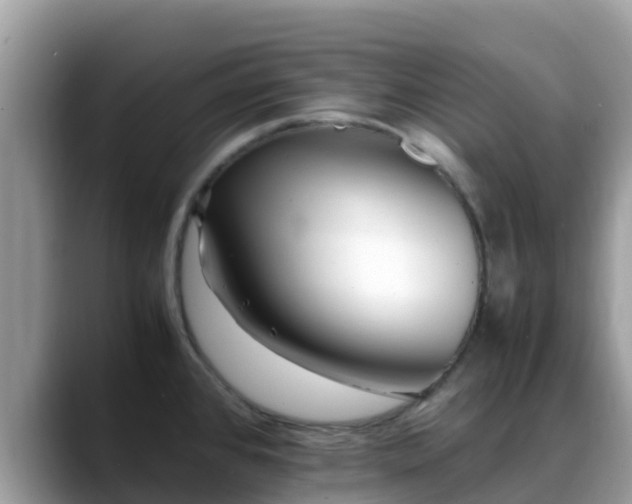 X0000088701384200706071531
