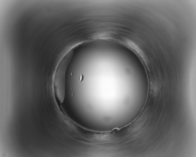 X0000088701386200706071531