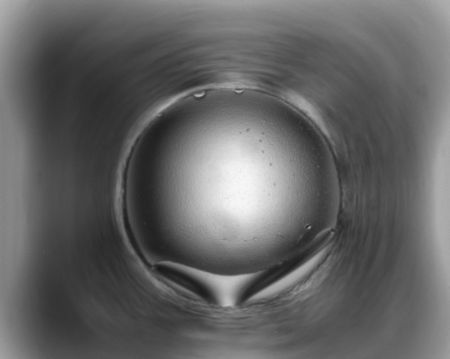 X0000088701387200706071531