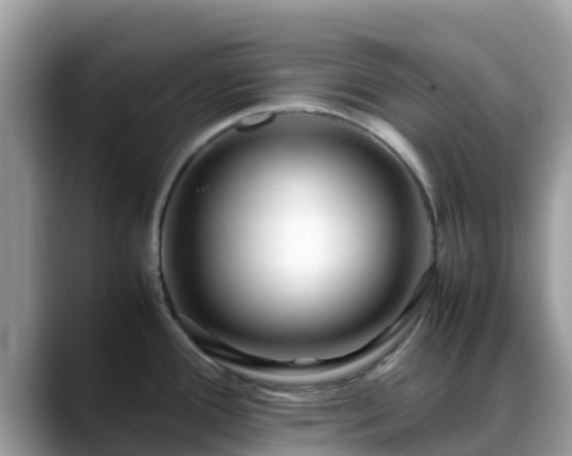 X0000088701388200706071531
