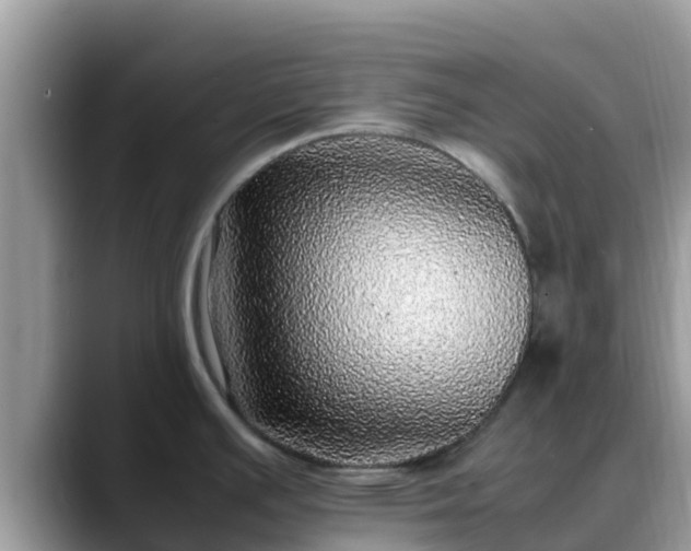 X0000088701391200706071531
