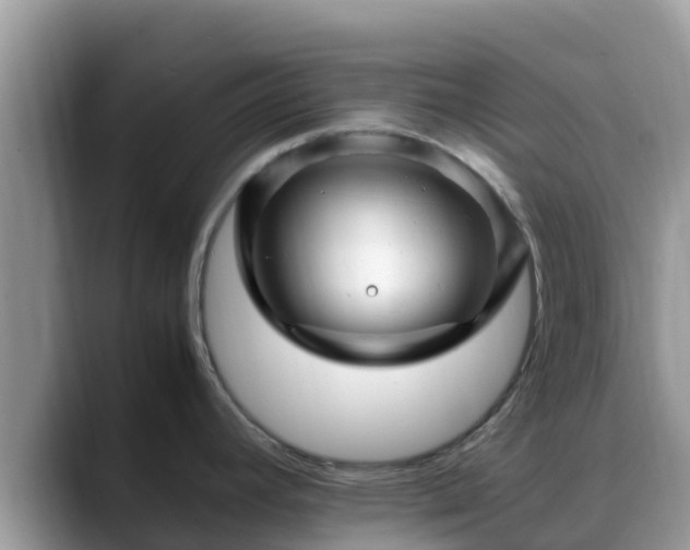 X0000088701392200706071531