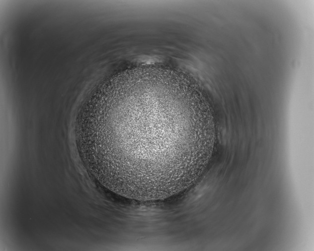X0000088701393200706071530