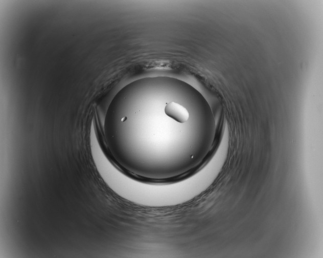 X0000088701394200706071530