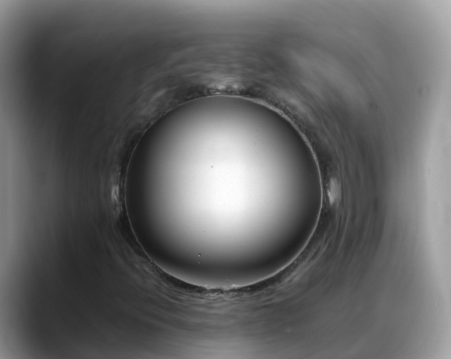X0000088701396200706071530