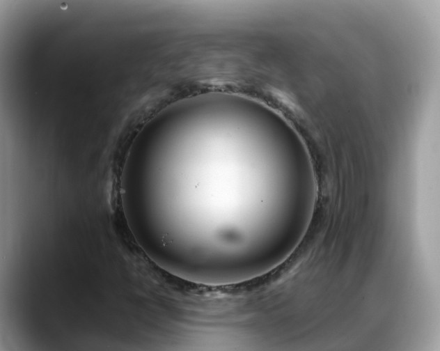X0000088701398200706071530