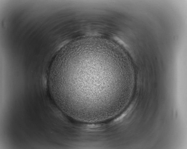 X0000088701401200706071530