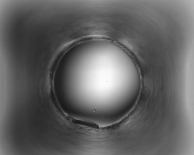 X0000088701408200706071530