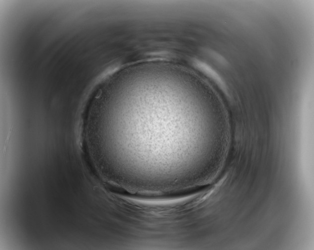 X0000088701411200706071530