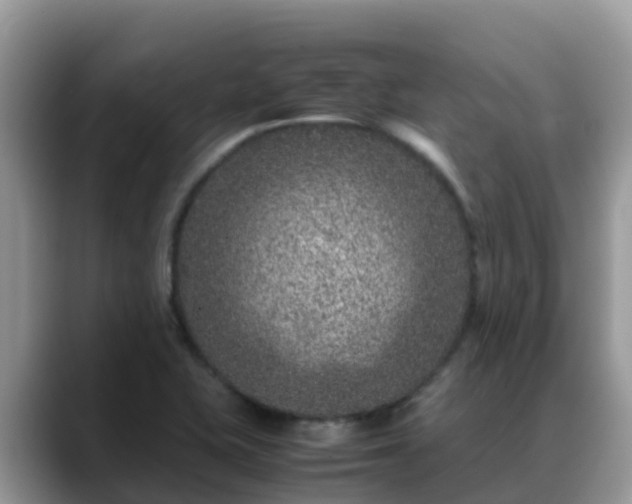 X0000088701415200706071530