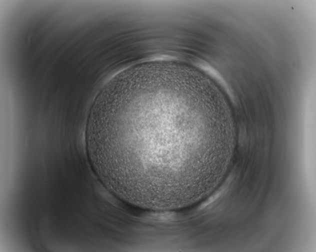 X0000088701417200706071530