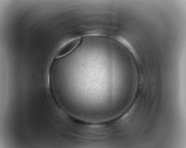 X0000088701419200706071530