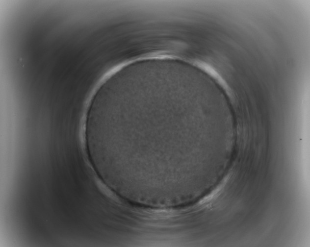 X0000088701421200706071531