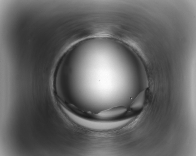 X0000088701422200706071531