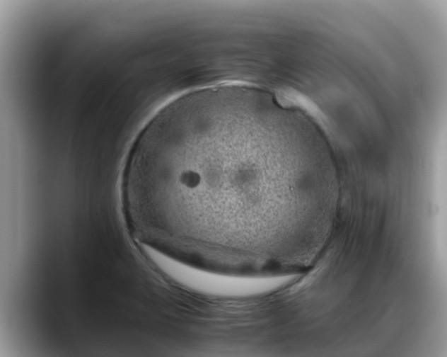 X0000088701423200706071531