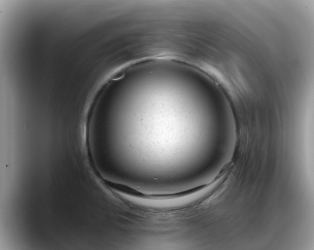 X0000088701424200706071531