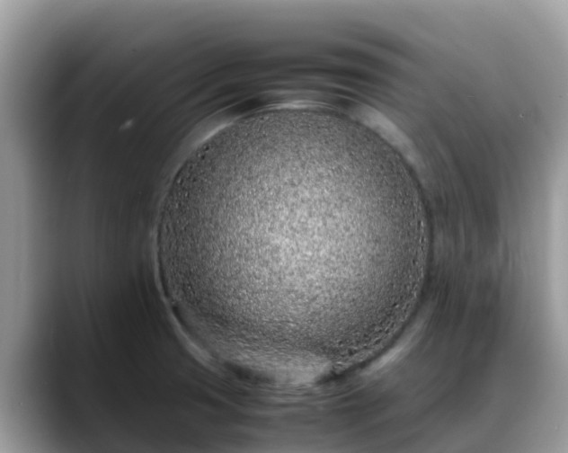 X0000088701425200706071531