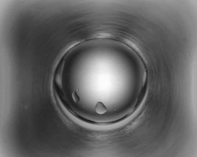 X0000088701426200706071531