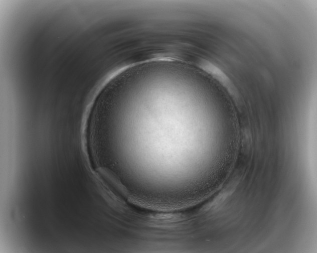 X0000088701427200706071531