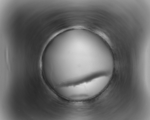 X0000088701428200706071531