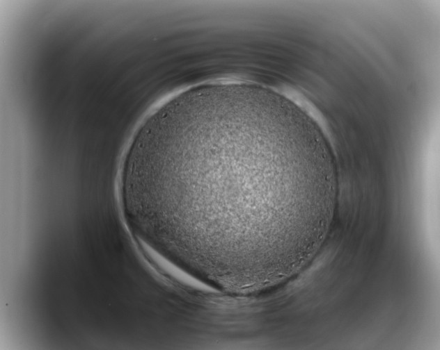 X0000088701429200706071531