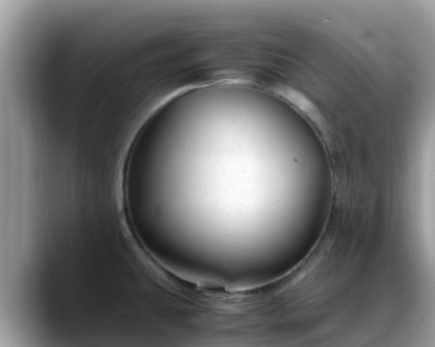 X0000088701431200706071531