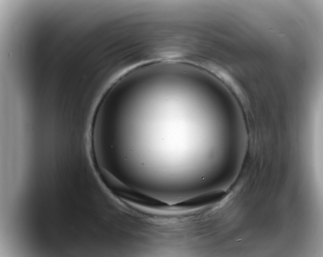 X0000088701432200706071531