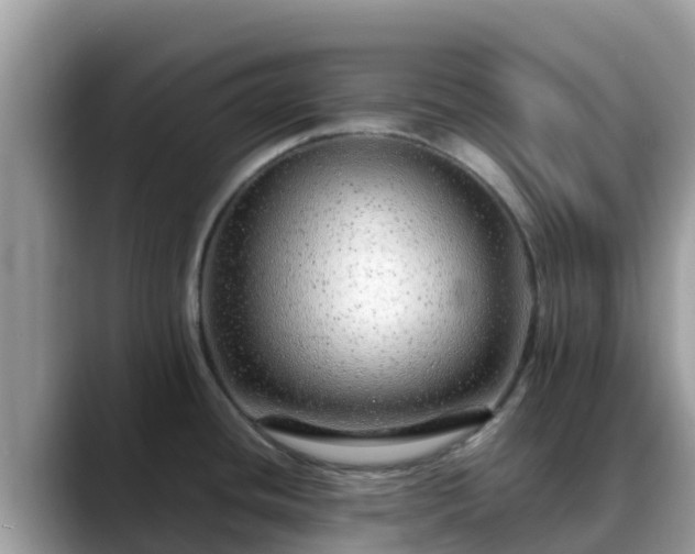 X0000088701436200706071531