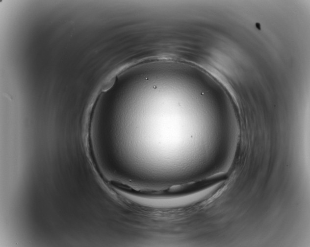 X0000088701437200706071531