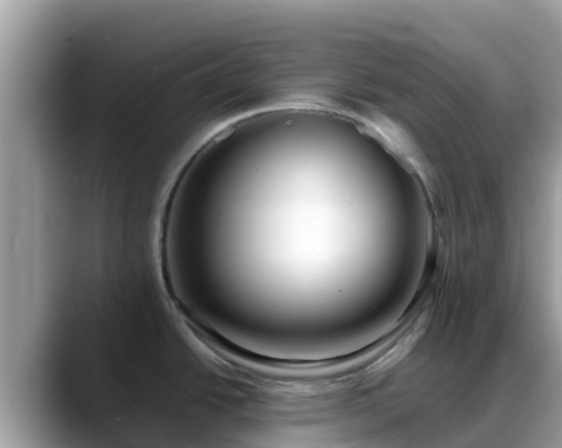 X0000088701438200706071531