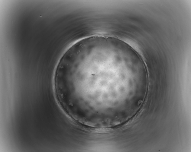 X0000088701440200706071531
