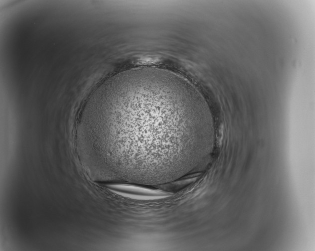 X0000088701441200706071530