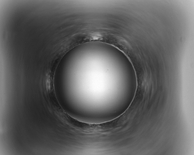X0000088701442200706071530