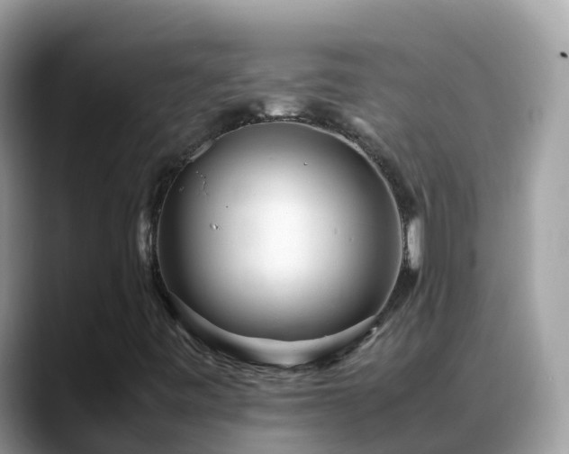 X0000088701443200706071530