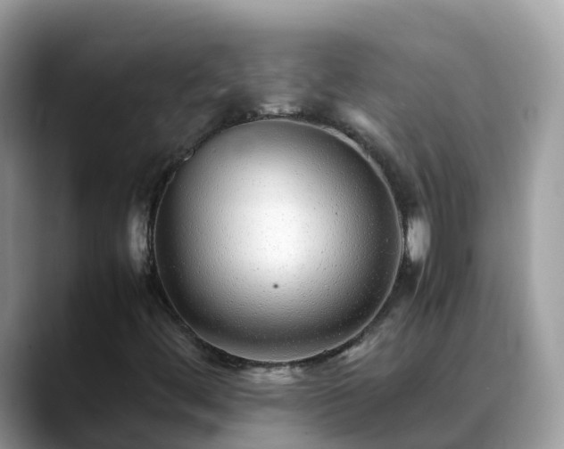 X0000088701444200706071530