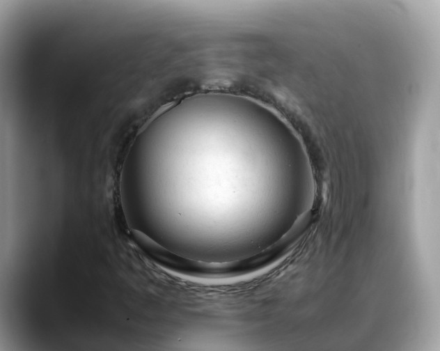 X0000088701445200706071530