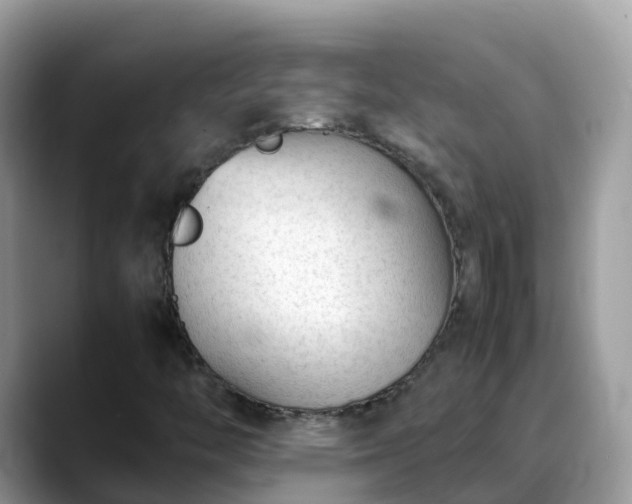 X0000088701446200706071530