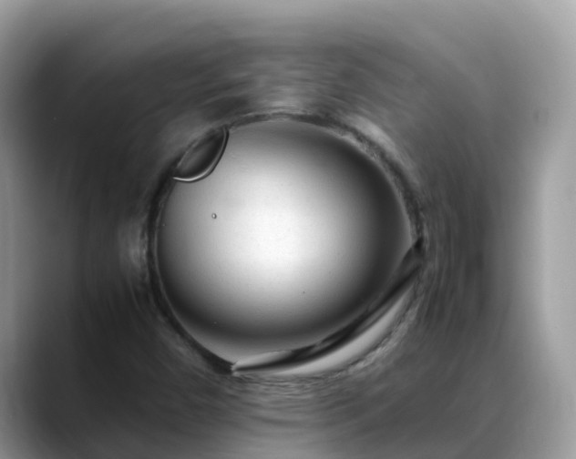 X0000088701450200706071530