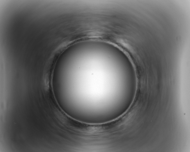 X0000088701451200706071530